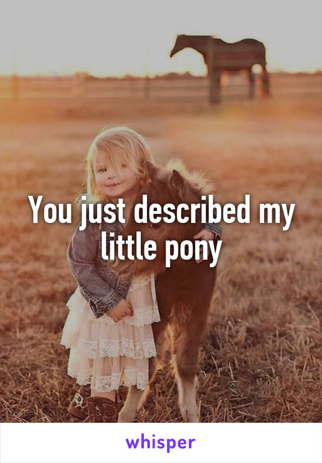 You just described my little pony