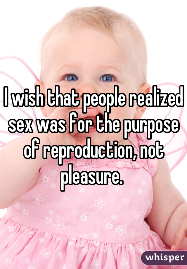 I wish that people realized sex was for the purpose of reproduction, not pleasure. 