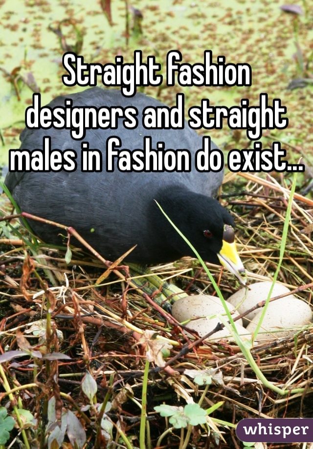 Straight fashion designers and straight males in fashion do exist...