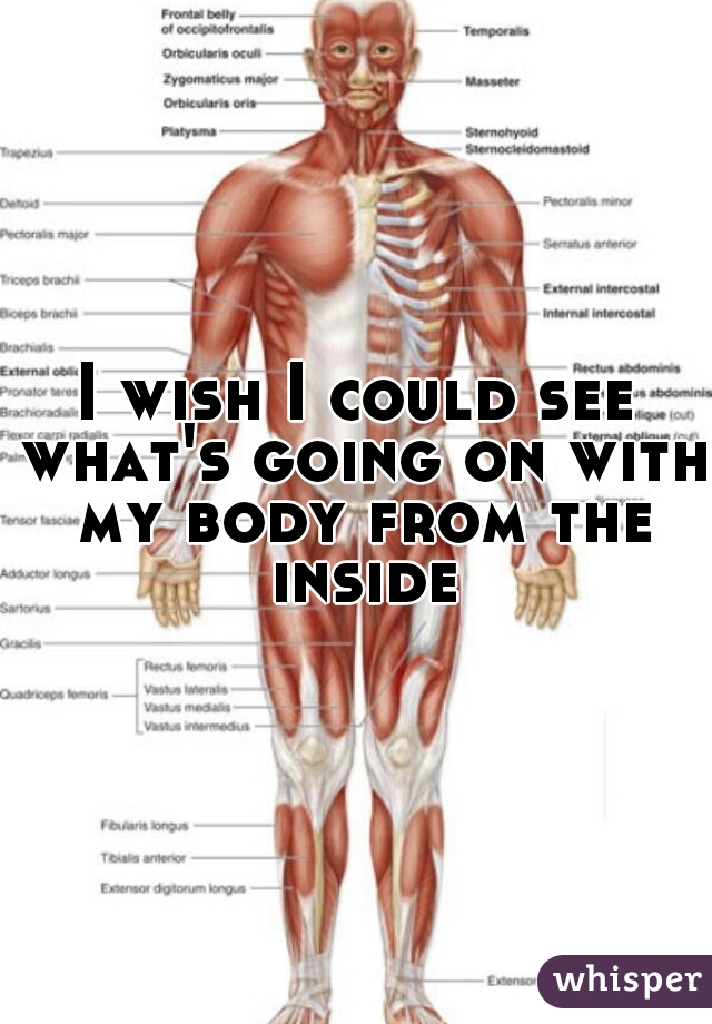 I wish I could see what's going on with my body from the inside