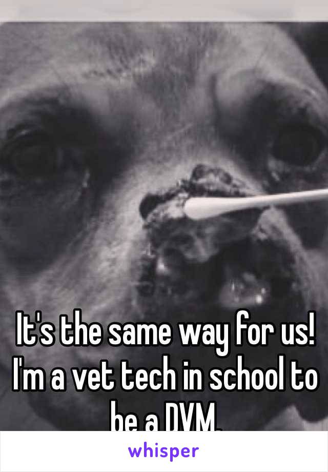 It's the same way for us! 
I'm a vet tech in school to be a DVM.