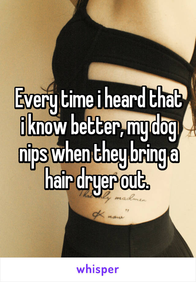 Every time i heard that i know better, my dog nips when they bring a hair dryer out. 
