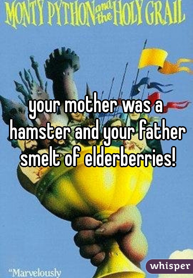 your mother was a hamster and your father smelt of elderberries!