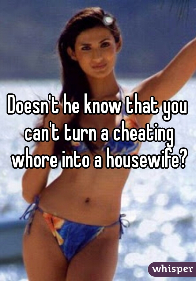 Doesn't he know that you can't turn a cheating whore into a housewife?