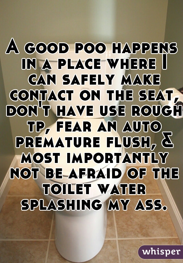 A good poo happens in a place where I can safely make contact on the seat, don't have use rough tp, fear an auto premature flush, & most importantly not be afraid of the toilet water splashing my ass.