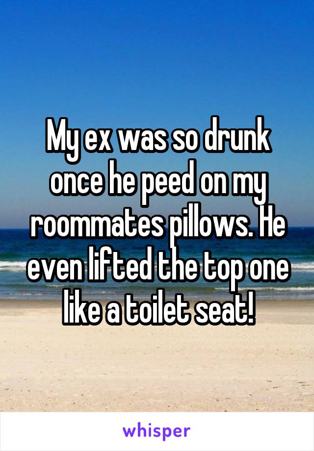 My ex was so drunk once he peed on my roommates pillows. He even lifted the top one like a toilet seat!