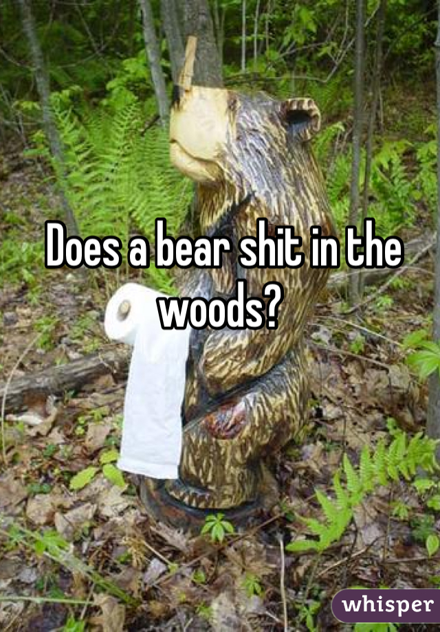 Does a bear shit in the woods? 