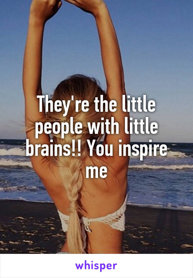 They're the little people with little brains!! You inspire me