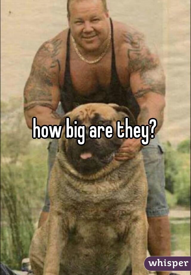 how big are they?