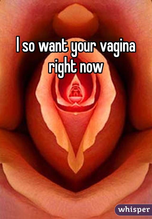 I so want your vagina right now 