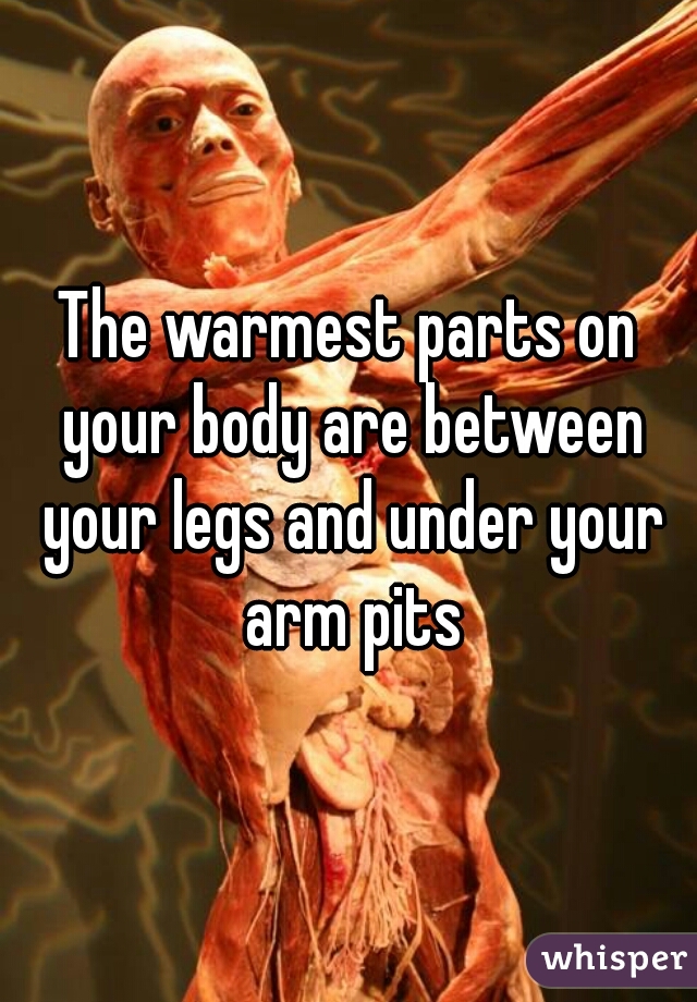 The warmest parts on your body are between your legs and under your arm pits