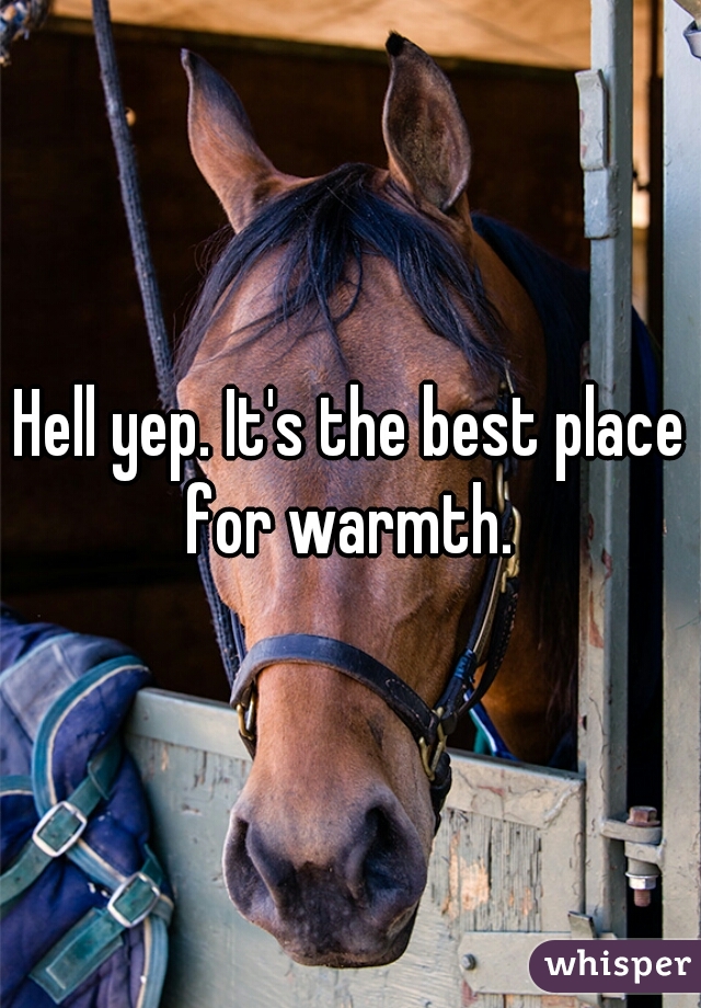 Hell yep. It's the best place for warmth. 