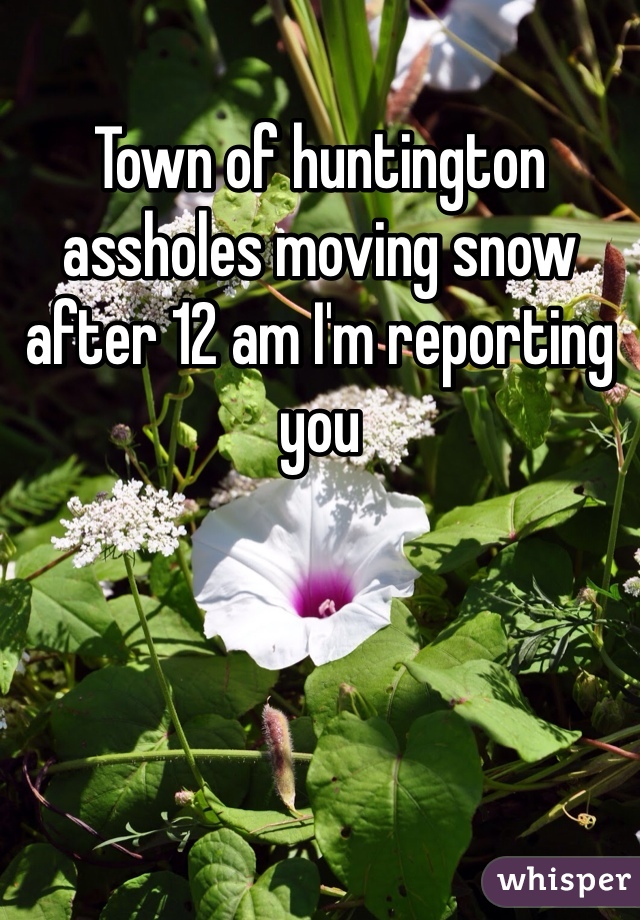Town of huntington assholes moving snow after 12 am I'm reporting you 