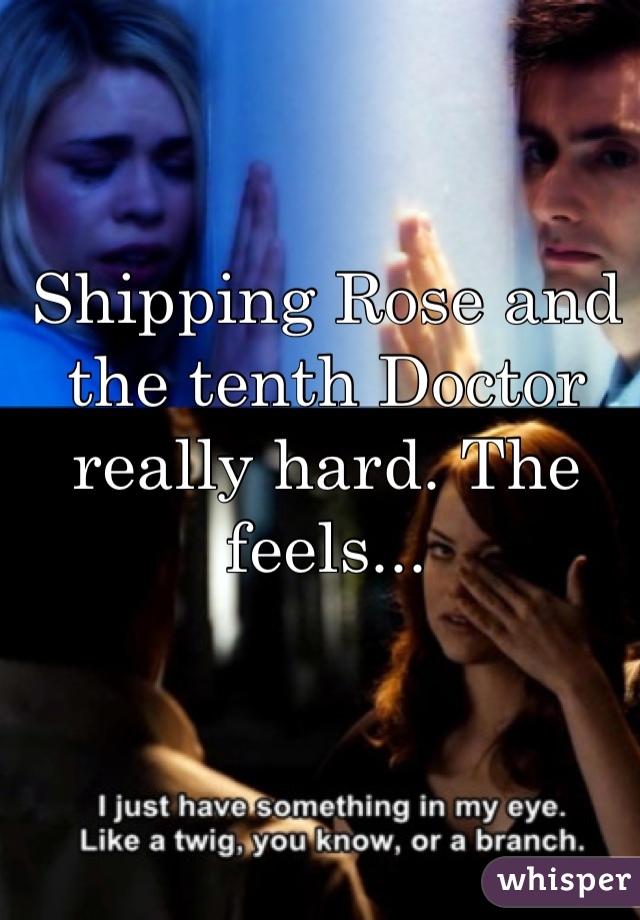 Shipping Rose and the tenth Doctor really hard. The feels...
