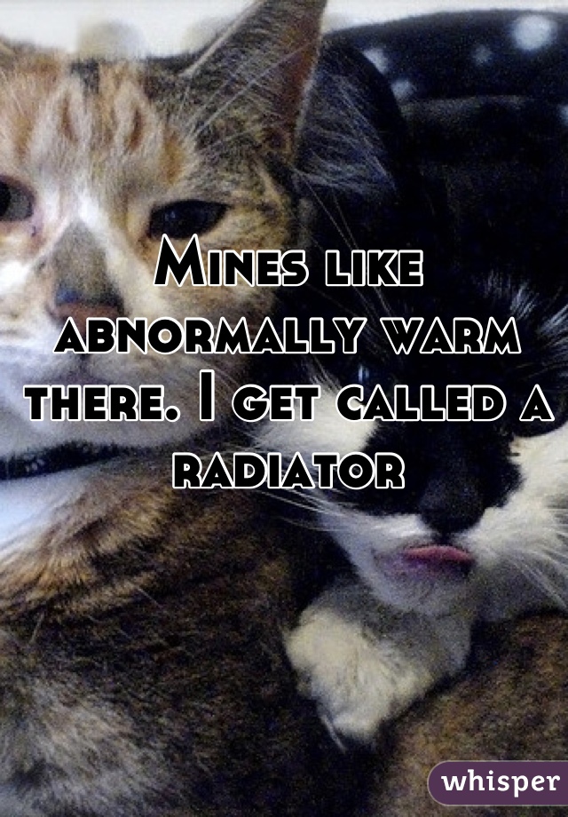 Mines like abnormally warm there. I get called a radiator