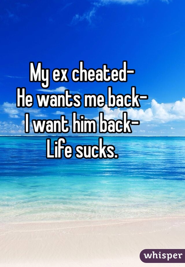 My ex cheated-
He wants me back-
I want him back-
Life sucks.