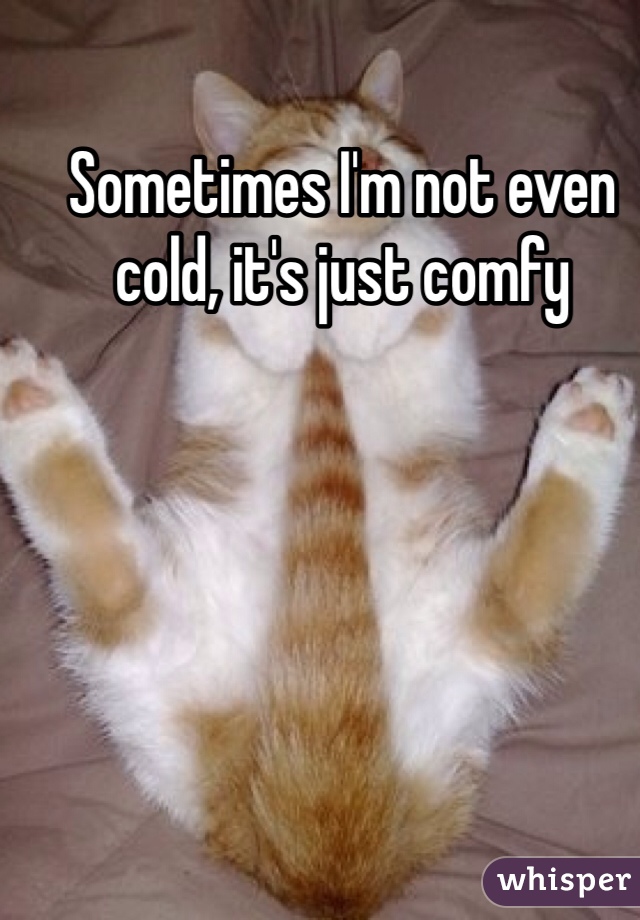 Sometimes I'm not even cold, it's just comfy 