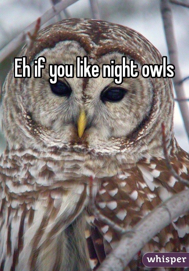 Eh if you like night owls 