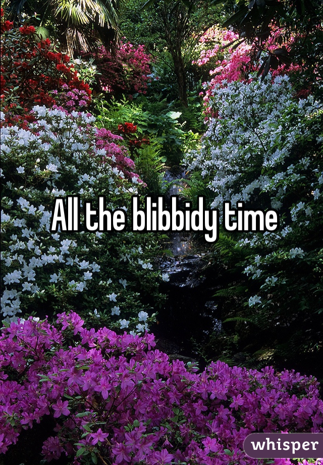 All the blibbidy time