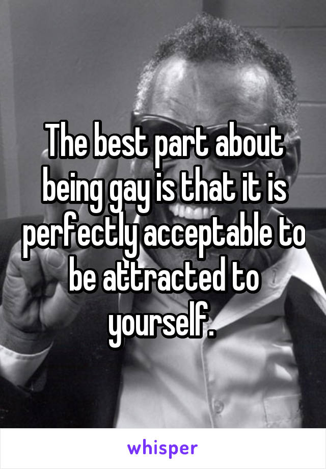 The best part about being gay is that it is perfectly acceptable to be attracted to yourself. 