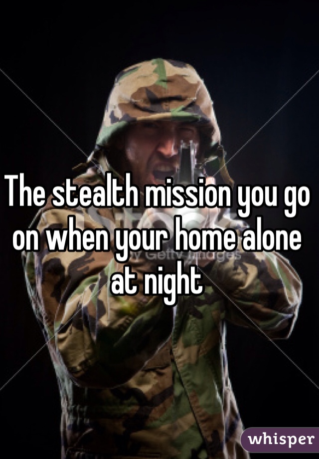 The stealth mission you go on when your home alone at night