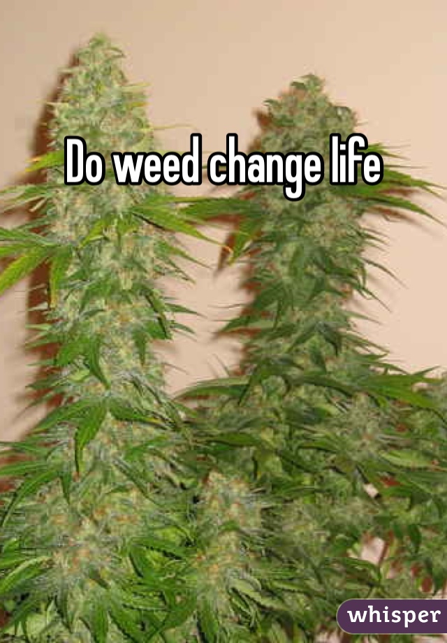 Do weed change life