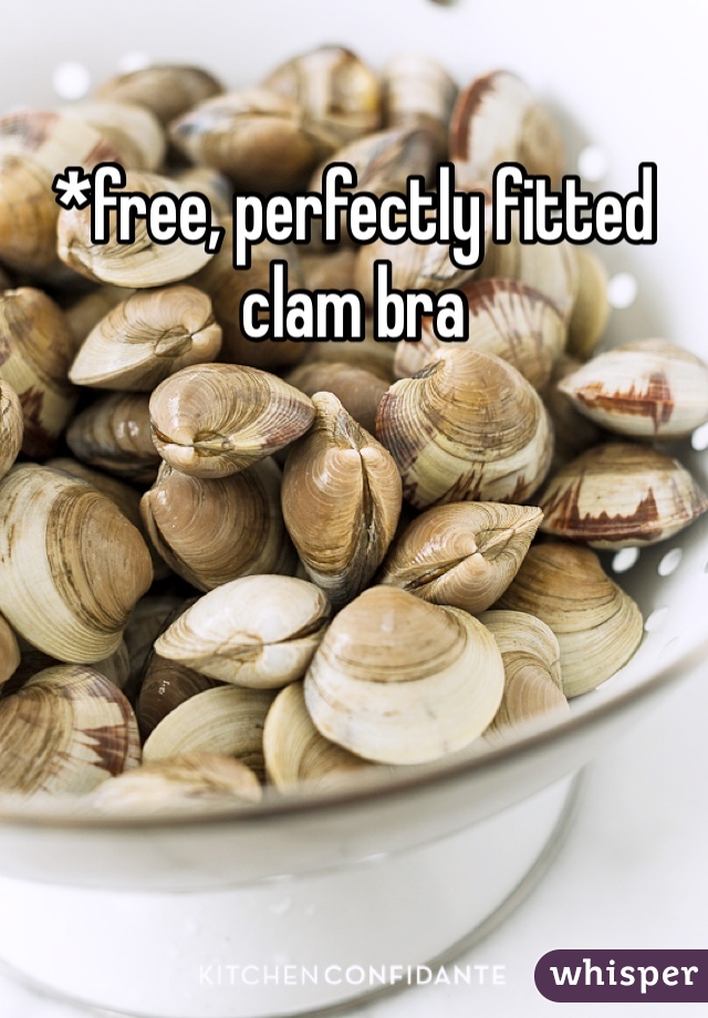 *free, perfectly fitted clam bra