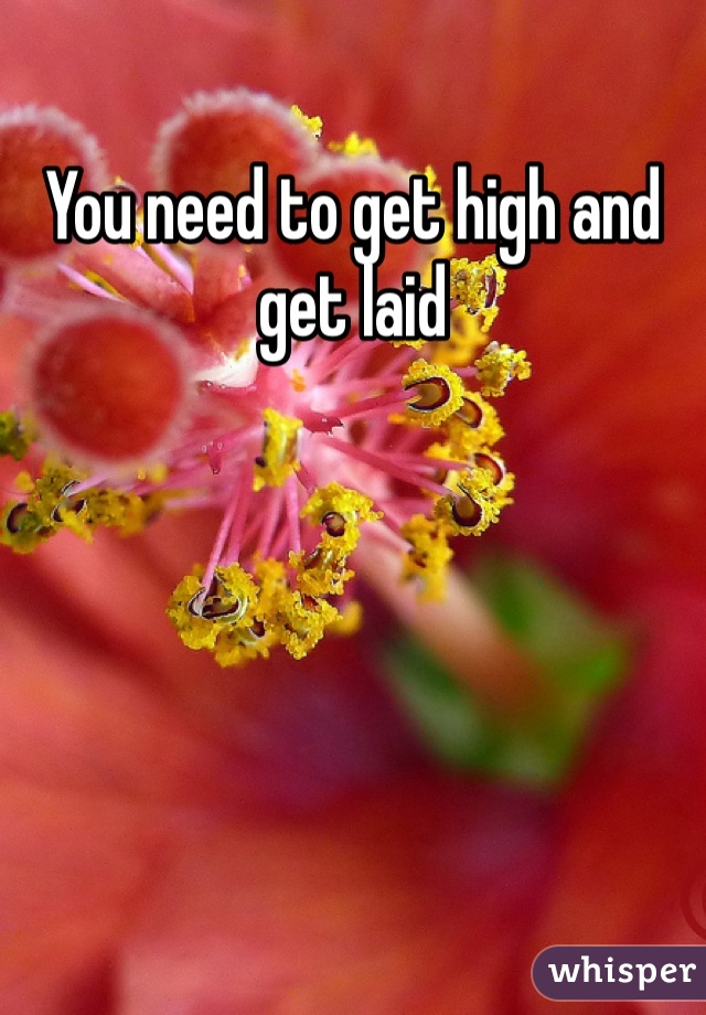 You need to get high and get laid 