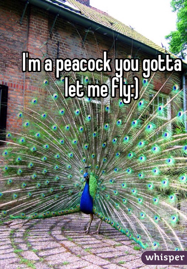 I'm a peacock you gotta let me fly:) 