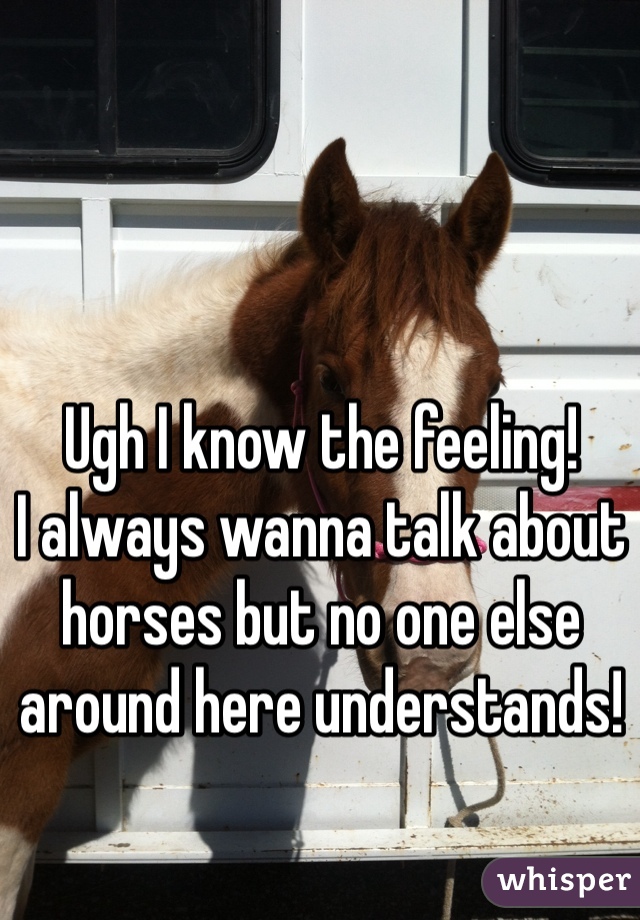 Ugh I know the feeling!
I always wanna talk about horses but no one else around here understands!