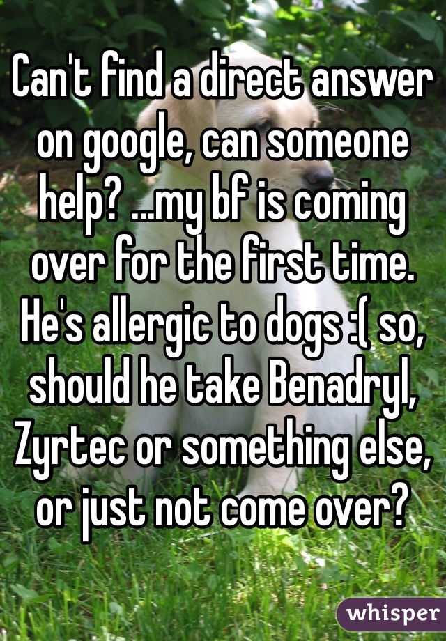 Can't find a direct answer on google, can someone help? ...my bf is coming over for the first time. He's allergic to dogs :( so, should he take Benadryl, Zyrtec or something else, or just not come over?