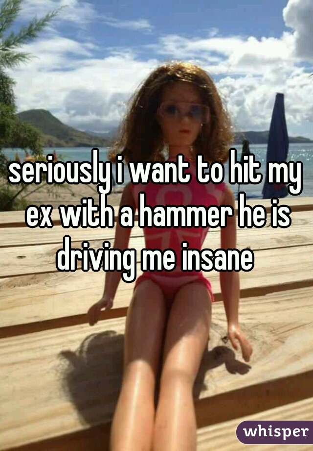 seriously i want to hit my ex with a hammer he is driving me insane 
