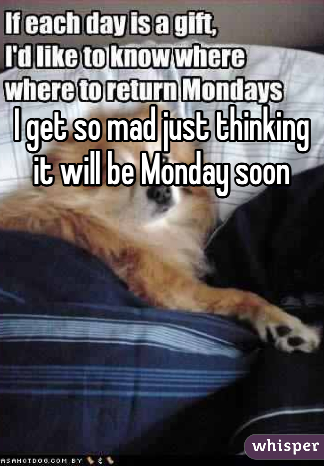 I get so mad just thinking it will be Monday soon 