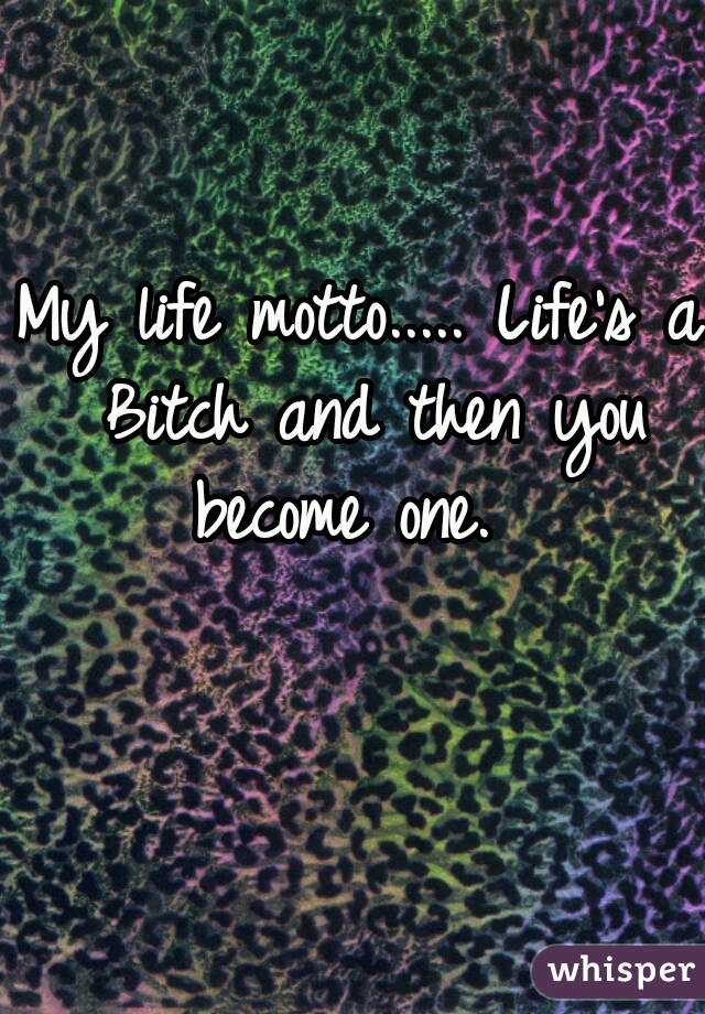 My life motto..... Life's a Bitch and then you become one.  