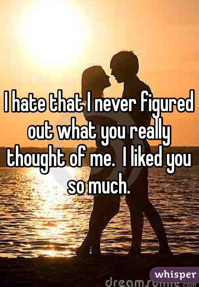I hate that I never figured out what you really thought of me.  I liked you so much.