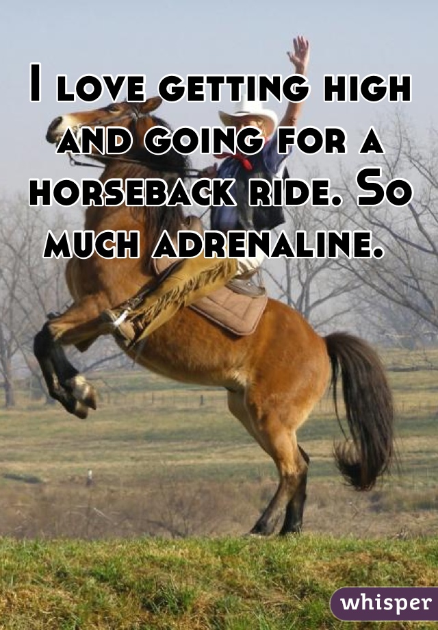 I love getting high and going for a horseback ride. So much adrenaline. 