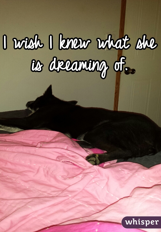 I wish I knew what she is dreaming of. 