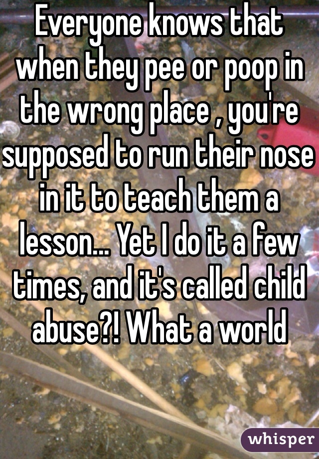 Everyone knows that when they pee or poop in the wrong place , you're supposed to run their nose in it to teach them a lesson... Yet I do it a few times, and it's called child abuse?! What a world