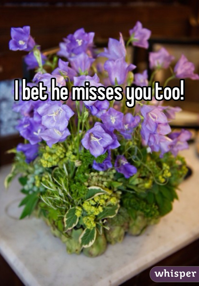 I bet he misses you too!