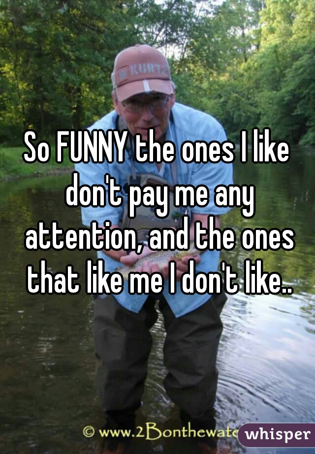 So FUNNY the ones I like don't pay me any attention, and the ones that like me I don't like..