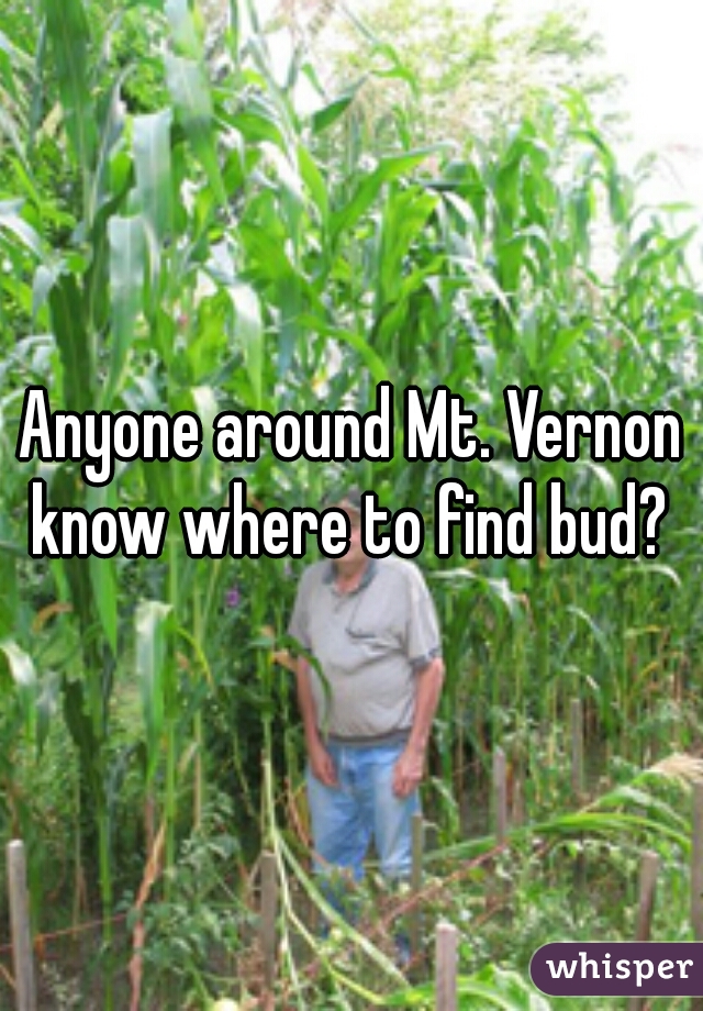 Anyone around Mt. Vernon know where to find bud? 
