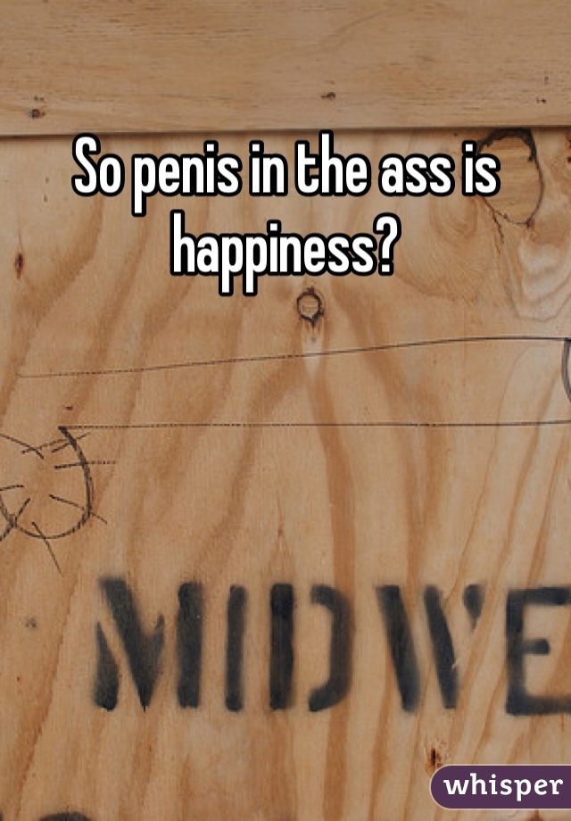 So penis in the ass is happiness?