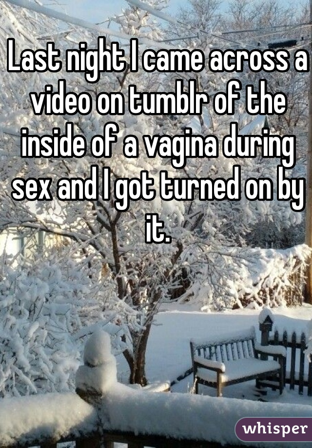 Last night I came across a video on tumblr of the inside of a vagina during sex and I got turned on by it.