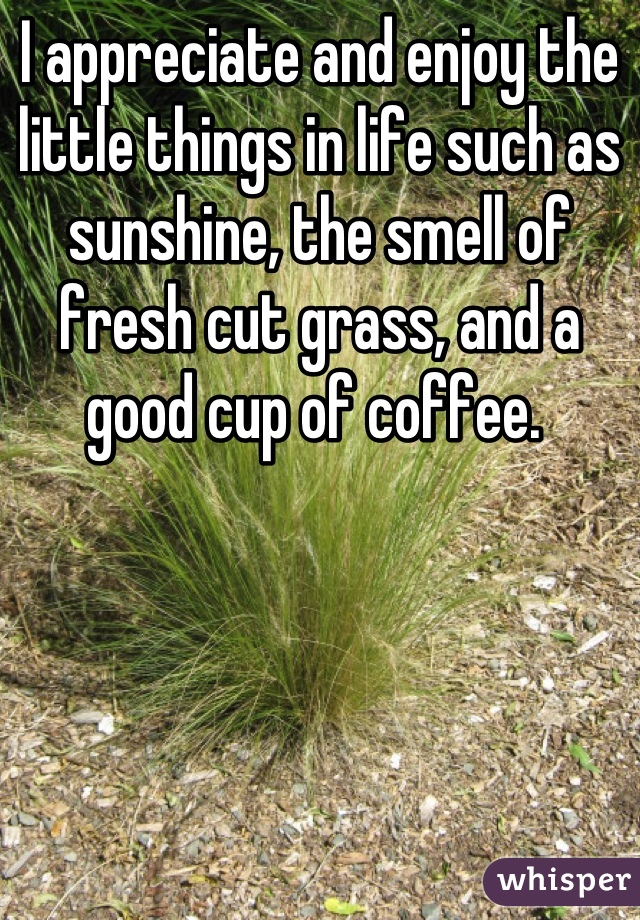 I appreciate and enjoy the little things in life such as sunshine, the smell of fresh cut grass, and a good cup of coffee. 