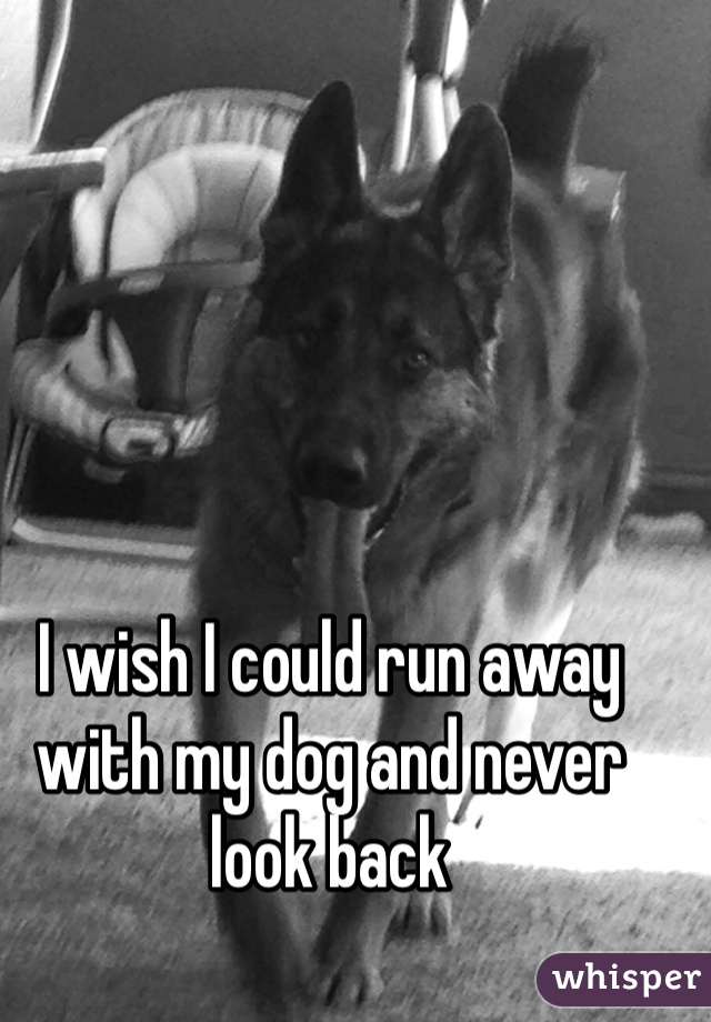 I wish I could run away with my dog and never look back 