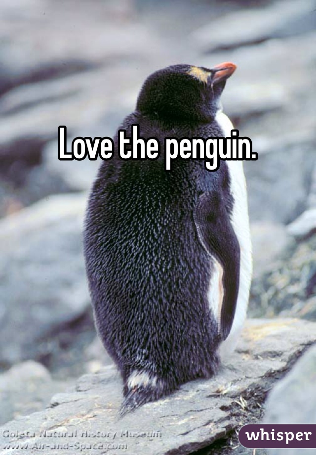 Love the penguin. 