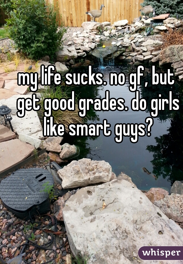 my life sucks. no gf, but get good grades. do girls like smart guys?