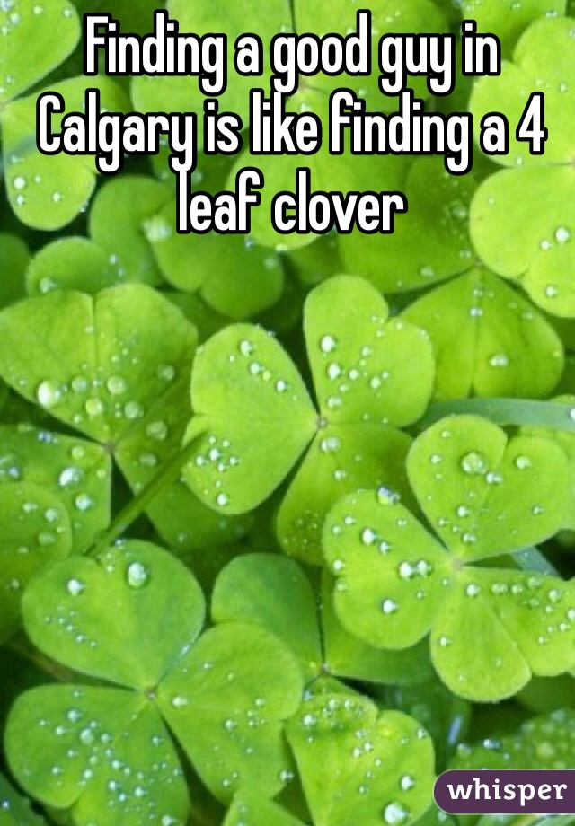 Finding a good guy in Calgary is like finding a 4 leaf clover