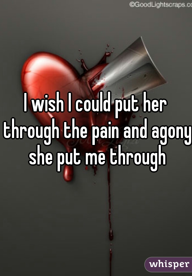 I wish I could put her through the pain and agony she put me through