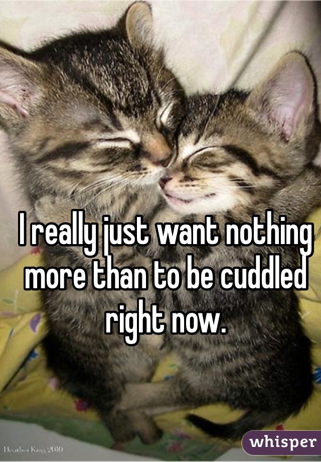 I really just want nothing more than to be cuddled right now. 